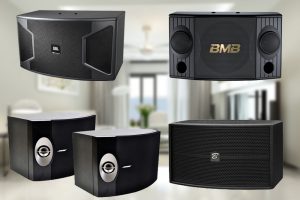 Nên Mua Loa Hát Karaoke Của Hãng Nào