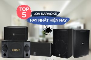 top 5 loa karaoke