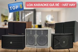 top 5 loa karaoke giá rẻ hát hay